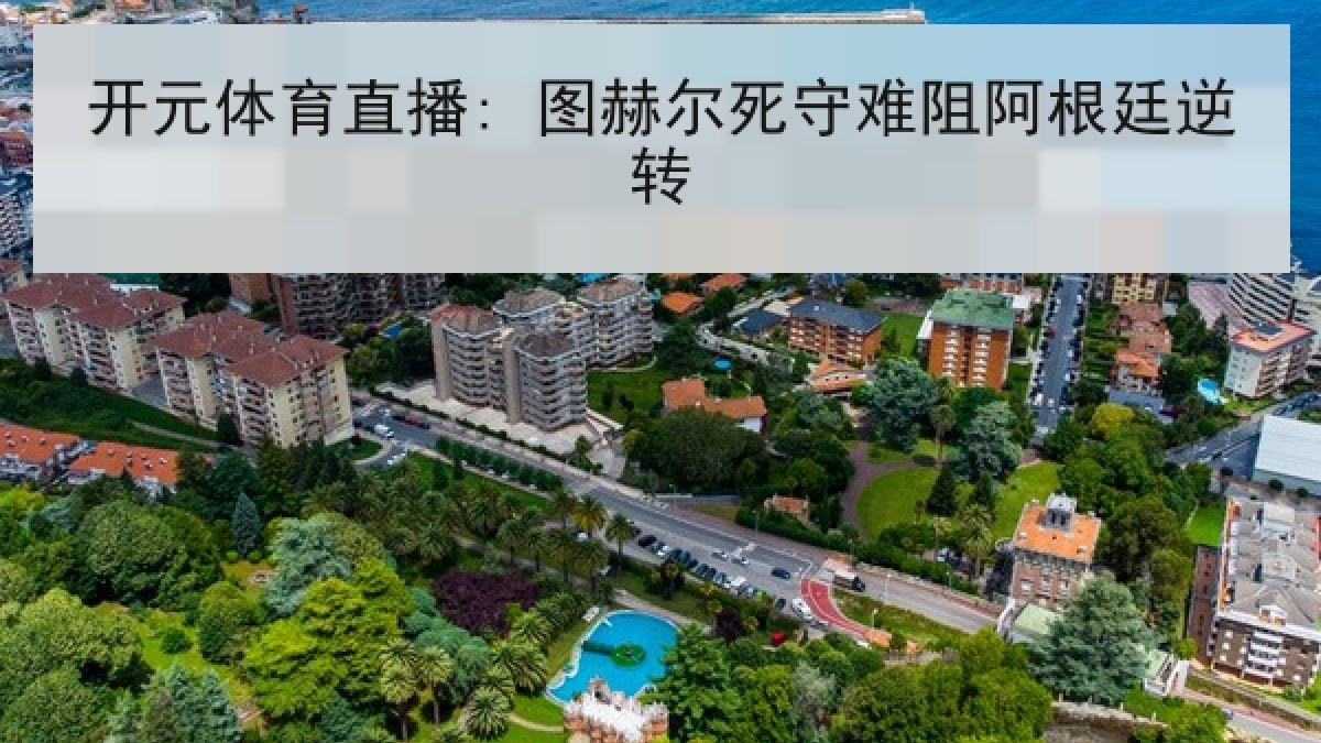 开元体育直播: 图赫尔死守难阻阿根廷逆转